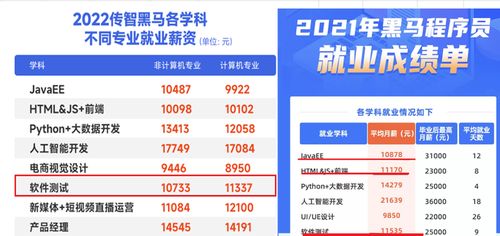 軟件開發與軟件測試 如何選擇適合你的網絡技術服務職業道路？